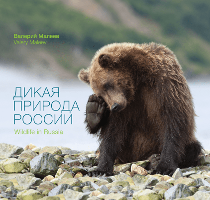 Дикая природа России