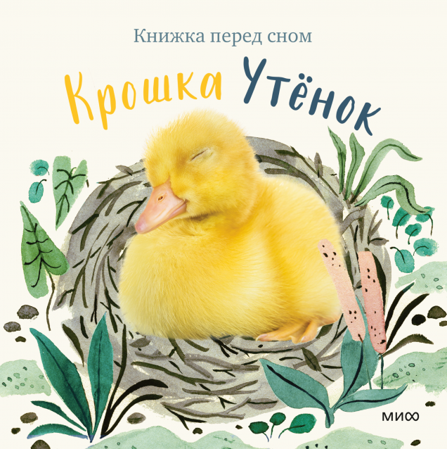 Обложка книги в хорошем качестве