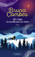 Книжный дом в сердце зимы