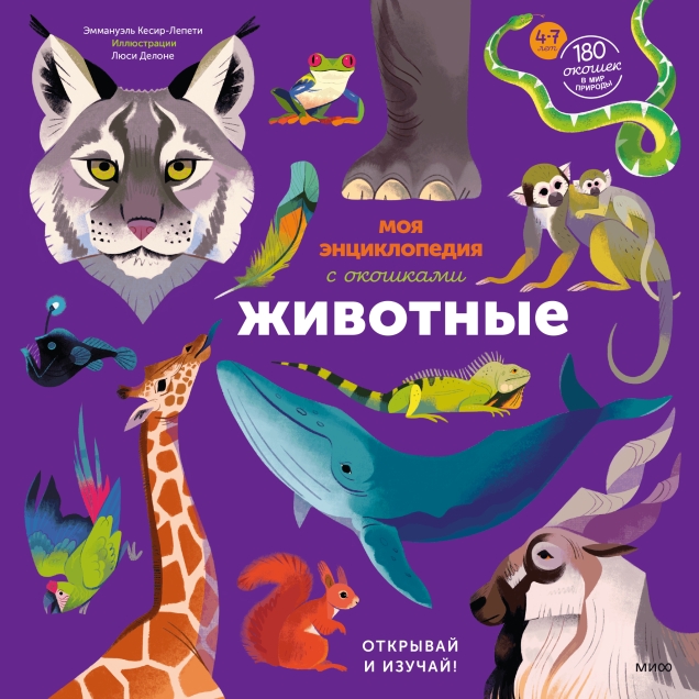 Обложка книги в хорошем качестве