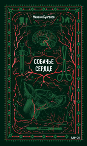 Обложка книги в хорошем качестве