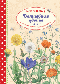 Обложка книги в хорошем качестве