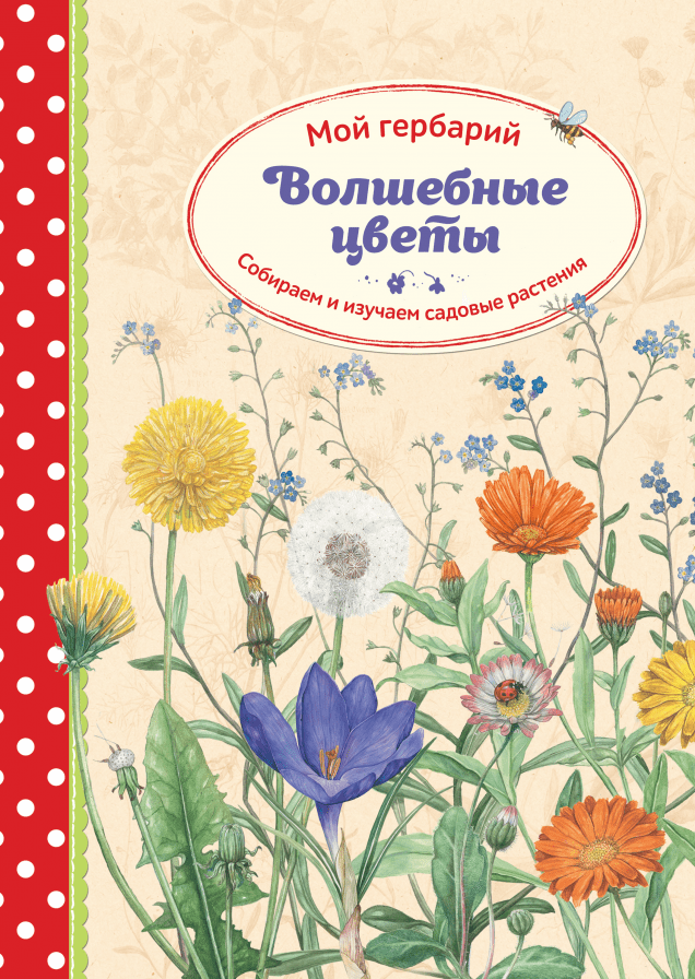 Обложка книги в хорошем качестве