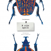 Обложка книги в хорошем качестве
