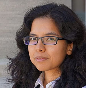 Шалин Гупта