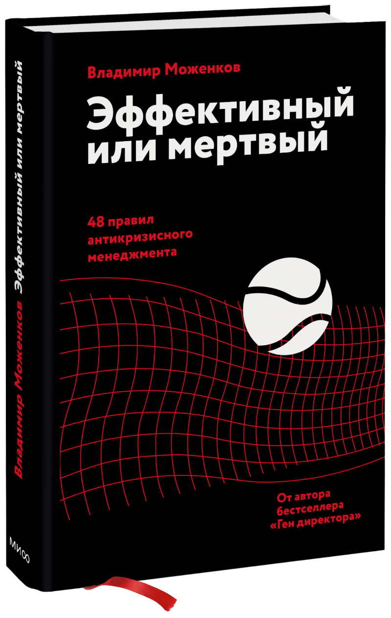 Описание компании Мериал-Интервет и ее планов