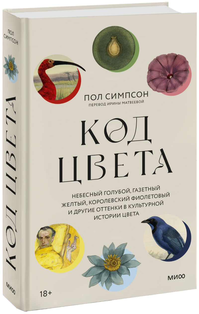 Код цвета пол симпсон. Таблица коды ргб цветов зеленый. Код цвета пол симпсон. Таблица цветов css rgb. Серый цвет rgb.