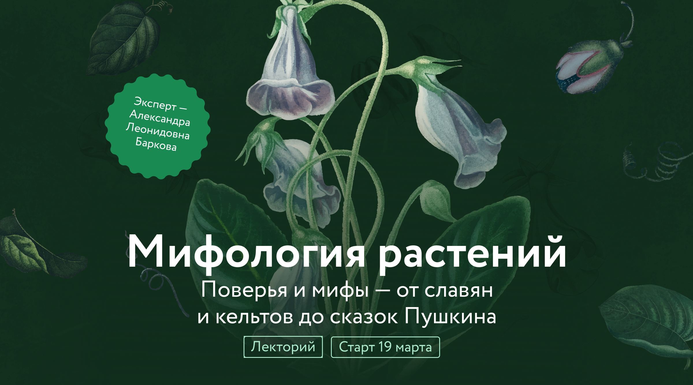 www.mann-ivanov-ferber.ru