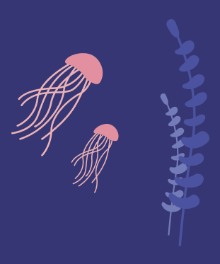 Контентное изображение