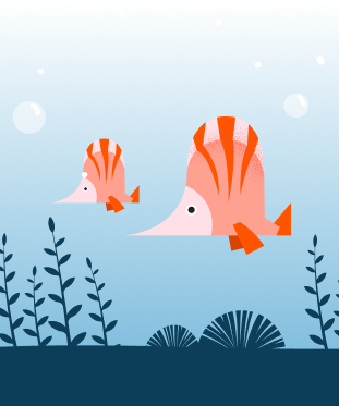 Контентное изображение